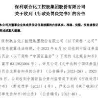 曾花近8億買下儲量超億噸大礦的央企因虛增利潤被罰955萬！