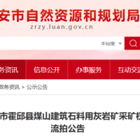 起始價8億元！安徽一建筑石料用灰?guī)r礦無人報價流拍